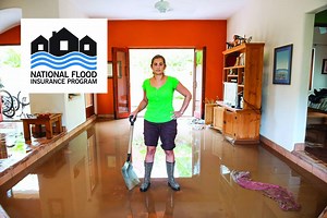 1.5K views | Did Irma flood your home? Here's how to file your insurance claim. | The State Newspaper | Facebook