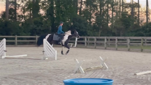 Ride with Seat | Southern Pines Equestrian | Facebook