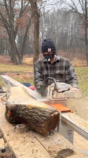 Black Walnut Cut with My Logosol F2+ Chainsaw Mill for Future Home Decor Projects! #sawmill #wood