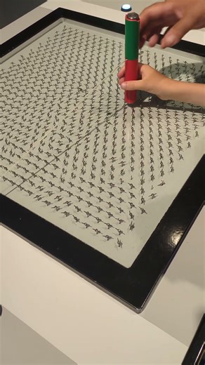 Reveal the field lines: 磁铁的影响 #cern