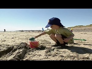 Teletubbies/The Wiggles Parody - Having Fun At The Beach