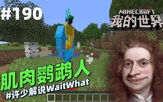 我的世界脑洞《鹦鹉肌肉人》：史蒂夫用曲奇把鹦鹉喂成肌肉人！