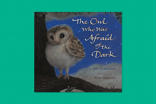 Starting Points: The Owl Who Was Afraid of the Dark — Primary English Education Consultancy
