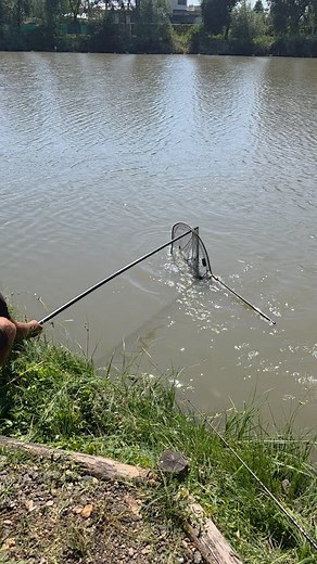 263K views · 1.6K reactions | KAD JE SUDJENO, SUDJENO JE Uskoro I drugi deo na YT kanalu #asopremazaribolov #ribolov #fishing #carp | Milos Pavlicevic | Facebook