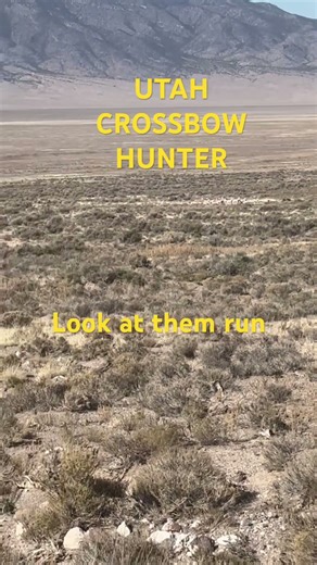 CROSSBOW FORUM: lLOOK ANTELOPE RUN