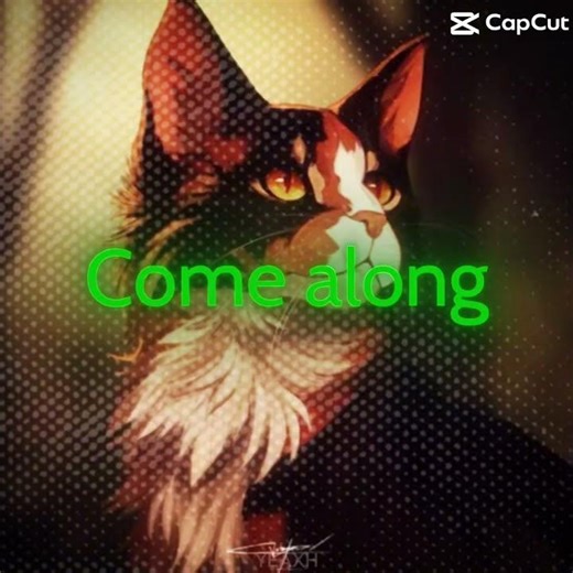 Warrior cats #cats# Mapleshade #fav character #