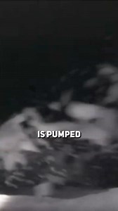 7.1K views · 31 reactions |  Key informations about Mponeng Mine ...