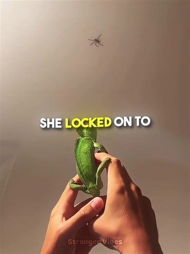 They Used A Biological Weapon Inside Their House 🤯🦎 | brutalist houses