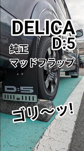 DELICA Mud Flaps (Large)