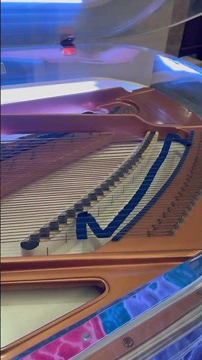 Bluthner transparent piano