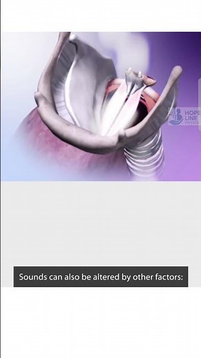 The Science of Phonation: medicalshorts #shorts #youtubeshorts #anatomy #doctor #viralshorts