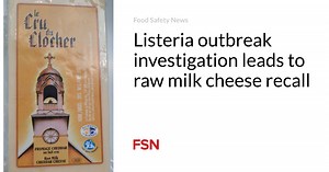 Don't Eat Raw Cheese