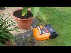 WORX Landroid M700 W142E am Begrenzungsdraht