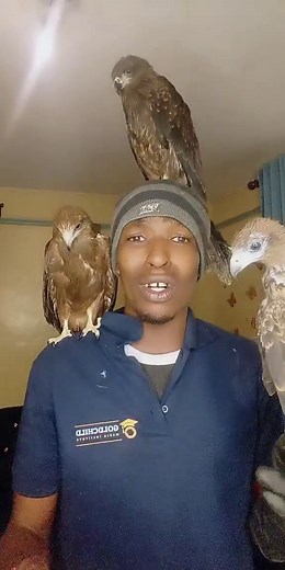 Birdman Nairobi 2026 video highlights