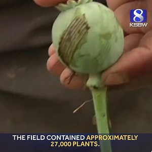 18K views · 207 reactions | "This operation shows the Sheriff’s...