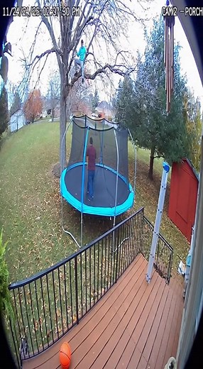 🤸‍♂️ Kids Try Double Bounce on Trampoline – Smaller Kid FLIES Into Tree & Gets STUCK! 😂 Parents Bring Ladder | Viral CCTV #TrampolineFail #KidInTree #ViralCCTV #DoubleBounce #EpicFail #Trampoline #CCTVFail #ViralVideo #FailArmy #BackyardFail #TooMuchBounce | Cine Craft