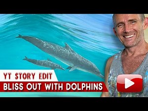 Dolphin Painting Demonstration | Youtube Story Edit with Mark Waller