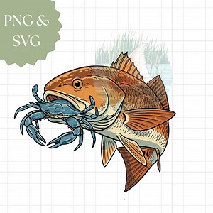 Redfish Eating Blue Crab Coastal Art - Fishing PNG SVG (digital Download) - Etsy