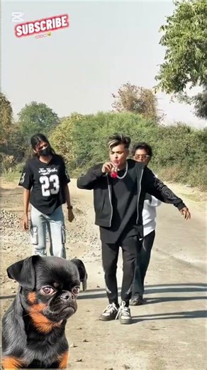 International chapri funny ghop ghop meme 🤣 #foryou #funny #ghop #comedy #befunnynow #alwayslaughing