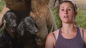 ¿Preparado para ver tres increíbles rescates del equipo del Refugio de Villalobos?🙌 #PitBullsYConvictos | Animal Planet Latinoamérica