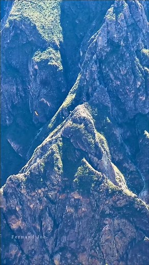 Impresionante cañón de colca, el más profundo del mundo 😮🌎 #peru #Arequipa | Fernand Joe