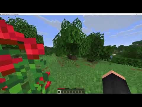 Make Minecraft 1.21.11 Run SMOOTH – Fix FPS Drops & Stuttering (NeoForge)