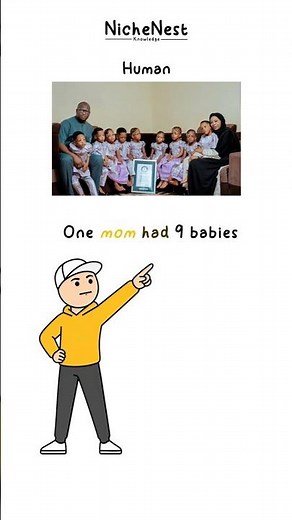 Most Babies Born at Once Human vs Animals You Won't Believe #4