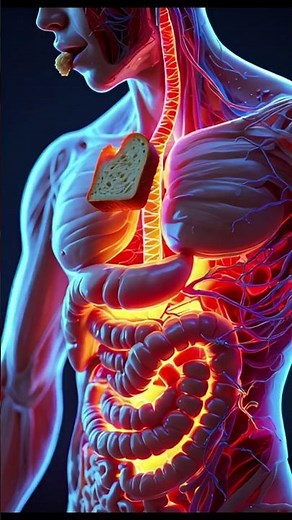 What Happens to Your Body When You Eat Bread Every Day | Shocking Health Facts