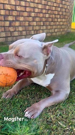 18 reactions · 5 comments | Lee Mack on Reels | Facebook