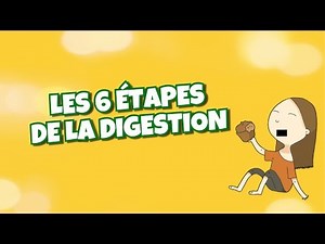 LES 6 ETAPES DE LA DIGESTION 🥣 CAP AEPE