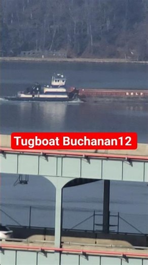 Tugboat Buchanan12 #Shorts #Tug #Tugboat @EIGHTYSGUY