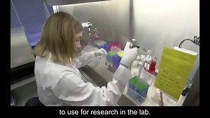 33K views · 596 reactions | Today is World Cancer Day. For more than 70 years, the Sloan Kettering Institute has set the pace for cancer science, research, and innovation. This is SKI. | Memorial Sloan Kettering Cancer Center | Facebook