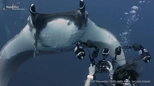 5.2K views · 132 reactions | We’re finally back in the Socorro...