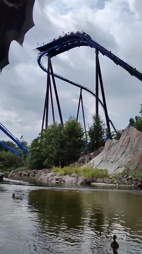 Amusement Park Adventures: Scenes of Fun and Thrills