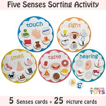 Five Senses Sorting Activity, Learn 5 Sense, Preschool Activity, Busy Bag