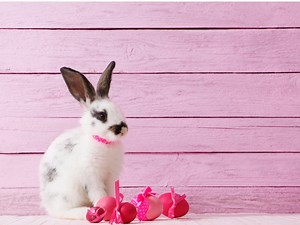 The best children's books about Easter - Netmums