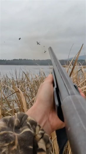 Brother snd I on some divers #duck #hunting #duckhunting #shorts #waterfowling #decoy #goosehunting