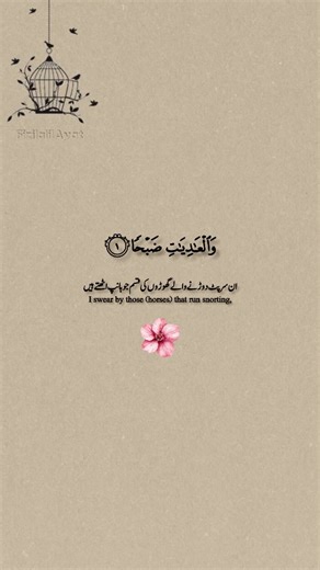 ‎فِي ظِلَالِ الْاٰيَات‎ on Instagram: "Surah Al-‘Adiyat | Powerful Reminder |. Abdul Rahman Mossad 🌿 Islamic Reminders | Qur’an Ayat 🕊️ Calm your soul with faith 🤍 Follow @fizilalilayat for peace @9li9 #abdulrahmanmossad #SurahAlAdiyat #Quran #IslamicReminder #ayatalquran"