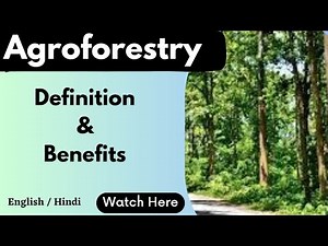 Agroforestry || definition & Benefits || ‪@scoringscience4120‬