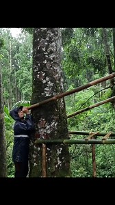 2.2M views · 10K reactions | #camping #nature #travel #adventure #hiking #outdoors #x #campinglife #outdoor #camp #explore #camper #mountains #vanlife #photography #offroad #trekking #roadtrip #bushcraft #naturephotography #campervan #wanderlust #glamping #travelphotography #fishing #survival #love #summer #campfire #forest | Dr. Johnathann Slowate | Facebook