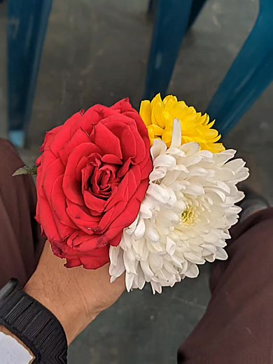 গোলাপ lelo😅🥀#treand #trending #ভাইরাল_করে_দাও #foryou #viral #unfreezemyacount