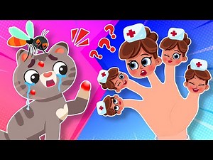 The Boo Boo Song 😩 | Doctor Finger Family Nursery Rhymes & Kids Songs by Comy Zomy