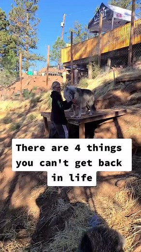 Pack 22 Alpha on TikTok