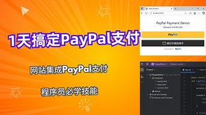 1天搞定Paypal支付，网站集成PayPal支付，程序员出海必备技能