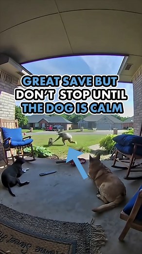 267K views · 17K reactions | I want to make sure you understand what...