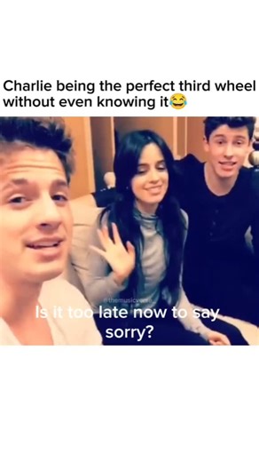 Music is Therapy on Instagram: "My replay button has already broken 😂 Follow for more... . . #sorry #charlieputh #camilacabello #shawnmendes #livesinging #singing #music #musiccover #song #songcover #songlyrics #trendingsongs #themusicverse"