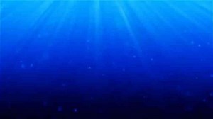 Photoshop Tutorial How to Transform a Face into a Powerful Text Portrait