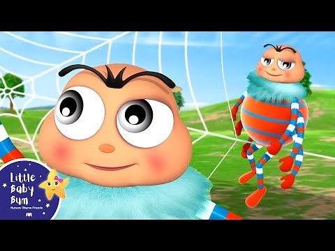 The Spider Song | Nursery Rhymes and Kids Songs | Little Baby Bum | Animal for Kids
