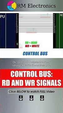 What is Control Bus? RD (Read) and WR (Write) signals.