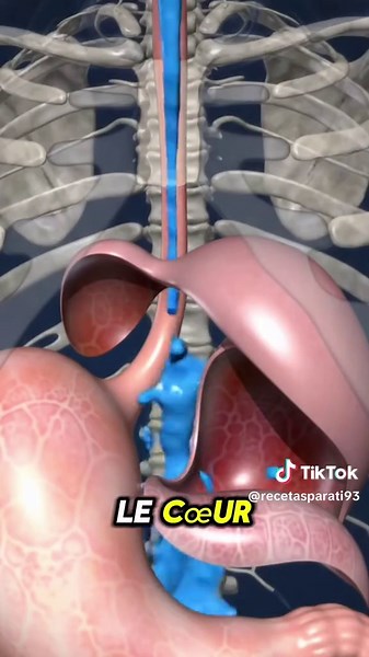 L’eau de clou de girofle : un détox miracle pour la santé